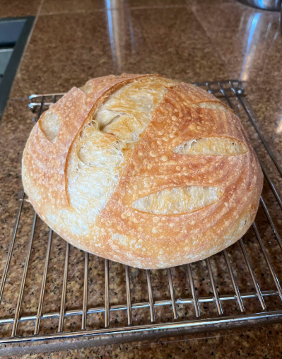 Sourdough Discard