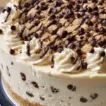 Chocolate chip cookie dough ice cream cake with layers of creamy ice cream and cookie dough.