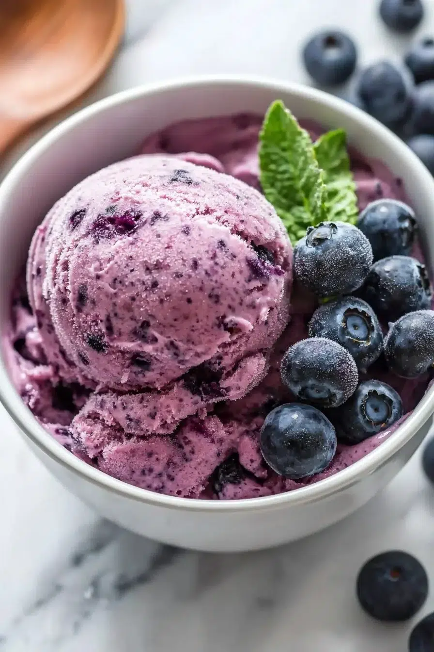 Delicious homemade blueberry frozen yogurt in a bowl with fresh blueberries on top