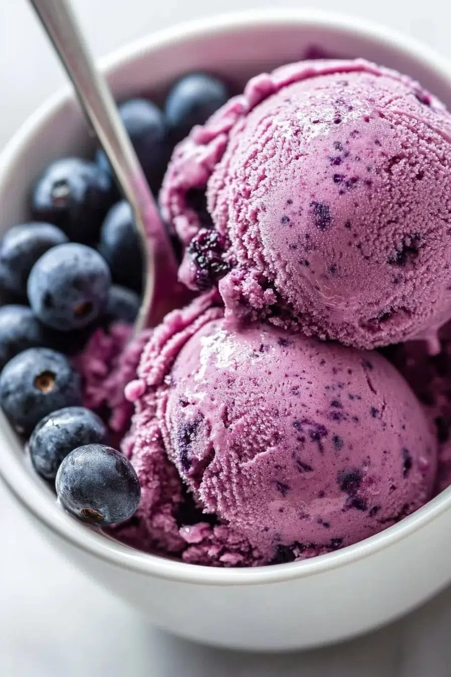 3 Ingredient Blueberry Frozen Yogurt