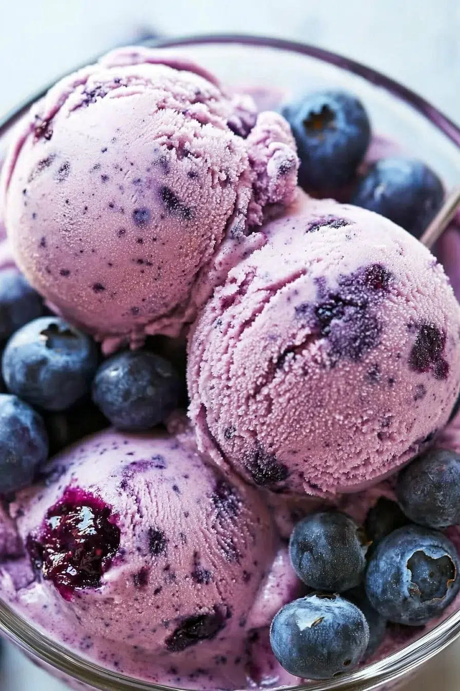 Blueberry Greek Frozen Yogurt