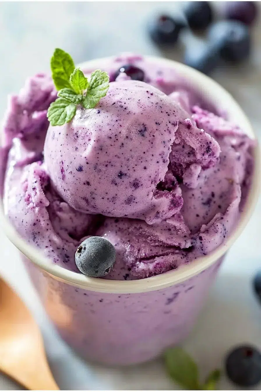 Delicious homemade blueberry frozen yogurt served in a bowl
