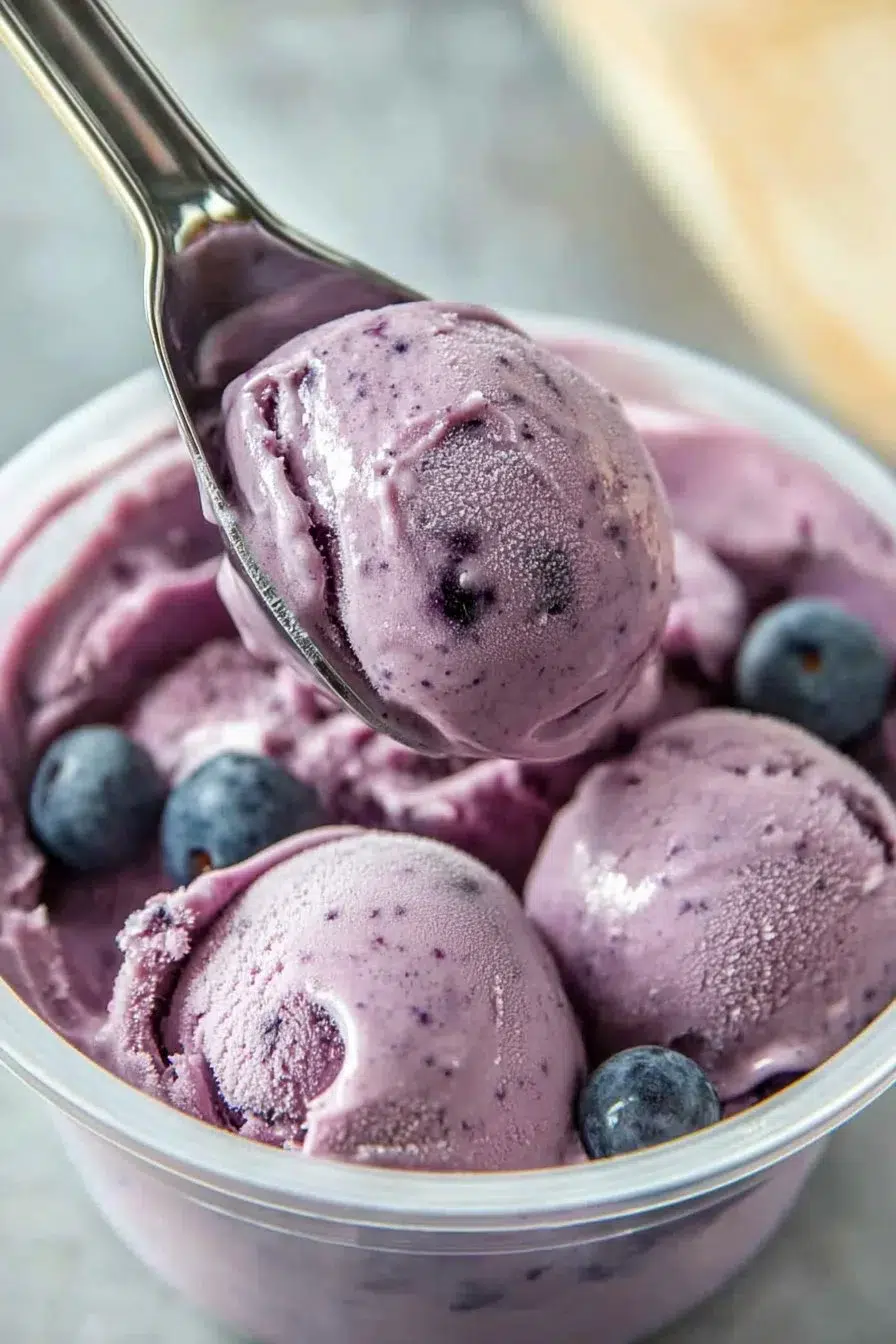 Homemade Blueberry Frozen Yogurt
